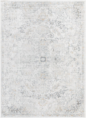 OLIVIA Tapis Vintage I Tapis Persan, Couloir, Salon, Chambre I Tapis Traditionnel Oriental, Poils Courts, Doux I Gris, Ambre