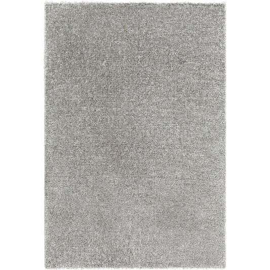 BOXHOLM Tapis Shaggy I Tapis Moderne, Salon, Chambre I Tapis Uni à Poils Longs, Épais, Doux, Moelleux, Entretien Facile I Gris Foncé