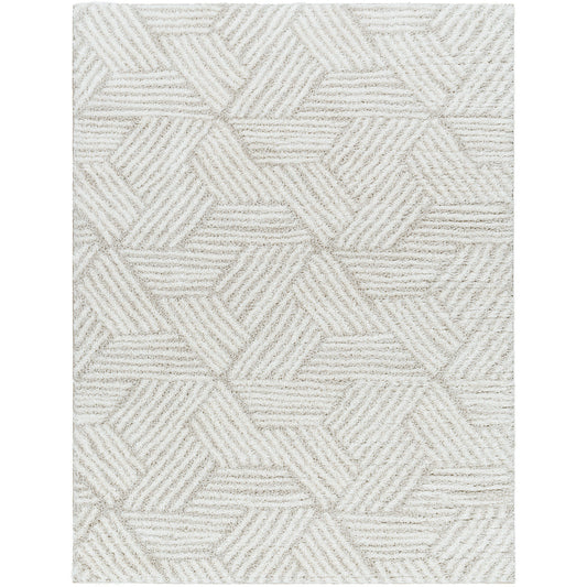 BROOKE Tapis Shaggy I Tapis Moderne, Salon, Chambre I Tapis à Poils Longs, Doux, Durable, Moelleux, Entretien Facile I Ivoire, Beige