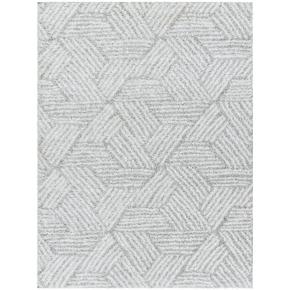 BROOKE Tapis Shaggy I Tapis Moderne, Salon, Chambre I Tapis à Poils Longs, Doux, Durable, Moelleux, Entretien Facile I Blanc, Gris