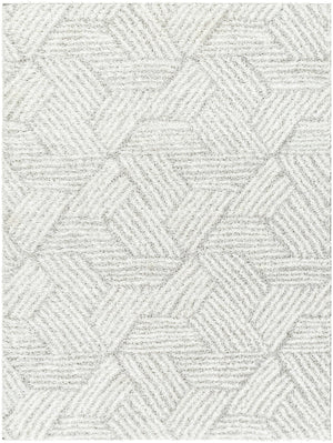 BROOKE Tapis Shaggy I Tapis Moderne, Salon, Chambre I Tapis à Poils Longs, Doux, Durable, Moelleux, Entretien Facile I Ivoire, Beige