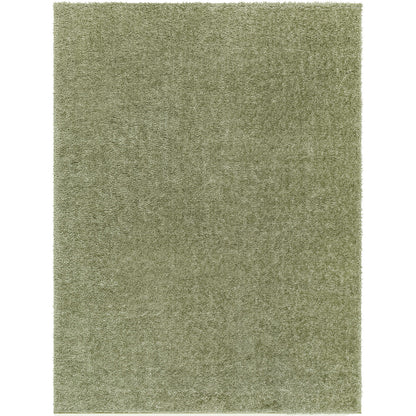 BOXHOLM Tapis Shaggy I Tapis Moderne, Salon, Chambre I Tapis Uni à Poils Longs, Épais, Doux, Durable, Moelleux, Entretien Facile I Vert