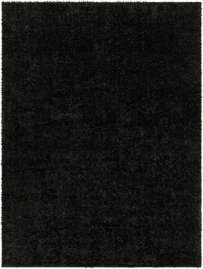 BOXHOLM Tapis Shaggy I Tapis Moderne, Salon, Chambre I Tapis Uni à Poils Longs, Épais, Doux, Durable, Moelleux, Entretien Facile I Noir