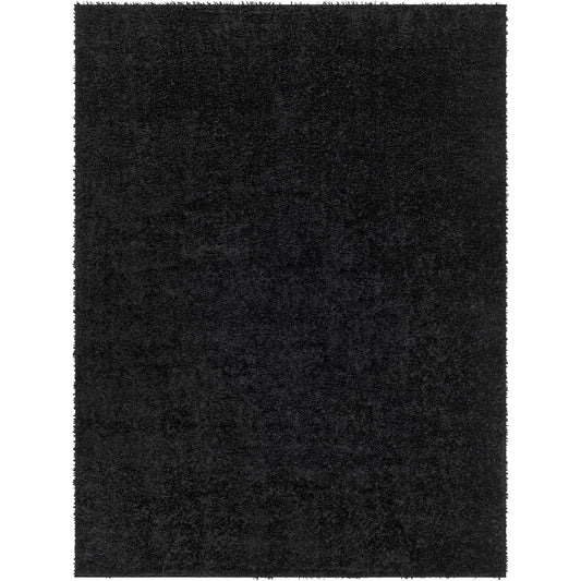 BOXHOLM Tapis Shaggy I Tapis Moderne, Salon, Chambre I Tapis Uni à Poils Longs, Épais, Doux, Durable, Moelleux, Entretien Facile I Noir