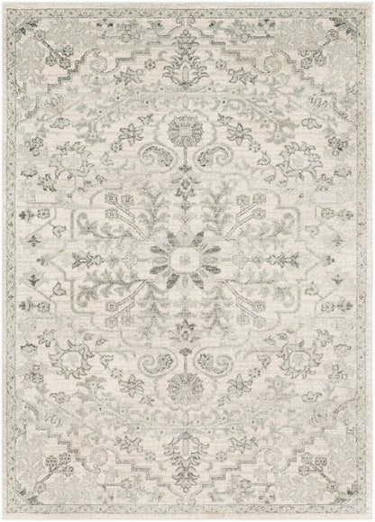 OLIVIA Tapis Vintage I Tapis Persan, Salon, Chambre I Tapis Traditionnel Oriental, Poils Courts, Doux, Durable I Gris, Beige