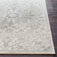 OLIVIA Tapis Vintage I Tapis Persan, Salon, Chambre I Tapis Traditionnel Oriental, Poils Courts, Doux, Durable I Gris, Beige