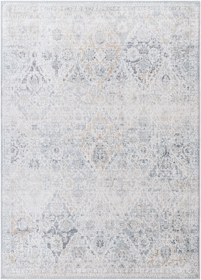 EMILY Tapis Vintage I Tapis Persan, Couloir, Salon, Chambre I Tapis Traditionnel Oriental, Poils Courts, Doux, Durable I Gris, Bleu