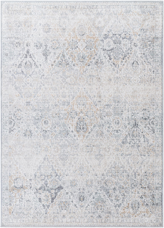 EMILY Tapis Vintage I Tapis Persan, Couloir, Salon, Chambre I Tapis Traditionnel Oriental, Poils Courts, Doux, Durable I Gris, Bleu