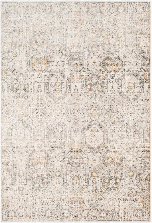 HEGO Tapis Vintage I Tapis Persan, Salon, Chambre I Tapis Traditionnel Oriental, Poils Courts, Doux, Entretien Facile I Gris, Beige