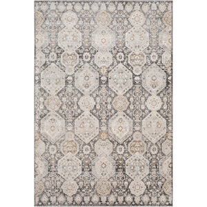 DAMASK Tapis Vintage I Tapis Persan, Salon, Chambre I Tapis Traditionnel Oriental, Poils Courts, Doux, Entretien Facile I Noir, Beige