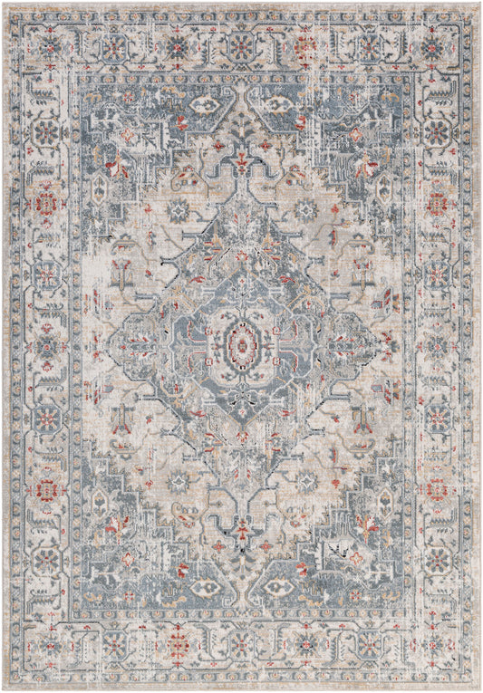 TRICHT Tapis Vintage I Tapis Persan, Salon, Chambre I Tapis Traditionnel Oriental, Poils Courts, Doux, Durable I Multicolore, Gris