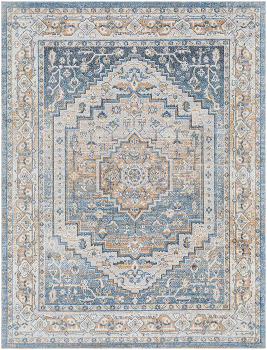 EMMETT Tapis Lavable en Machine I Tapis Persan, Salon, Salle à Manger, Cuisine I Tapis Vintage Oriental, Poils Courts, Doux I Bleu, Bleu