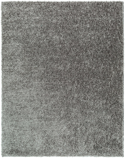 CHARON Tapis Shaggy I Tapis Moderne, Salon, Chambre I Tapis Uni à Poils Longs, Épais, Doux, Moelleux, Entretien Facile I Gris Foncé