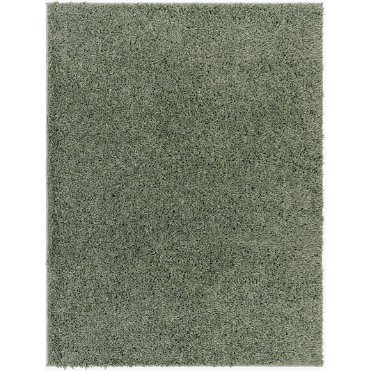 CHARON Tapis Shaggy I Tapis Moderne, Salon, Chambre I Tapis Uni à Poils Longs, Épais, Doux, Durable, Moelleux, Entretien Facile I Vert