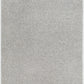 CHARON Tapis Shaggy I Tapis Moderne, Salon, Chambre I Tapis Uni à Poils Longs, Épais, Doux, Moelleux, Entretien Facile I Gris Clair