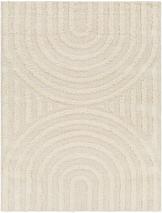 LONGISLAND Tapis Shaggy I Tapis Moderne, Salon, Chambre I Tapis à Poils Longs, Doux, Durable, Moelleux, Entretien Facile I Beige, Blanc