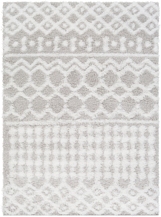 CARTER Tapis Shaggy I Tapis Moderne, Salon, Chambre I Tapis Ethnique à Poils Longs, Doux, Moelleux, Entretien Facile I Blanc, Gris