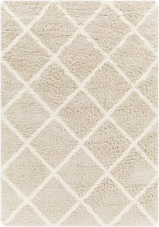 BLENCOE Tapis Shaggy I Tapis Moderne, Salon, Chambre I Tapis Bohème à Poils Longs, Doux, Moelleux, Entretien Facile I Blanc, Beige