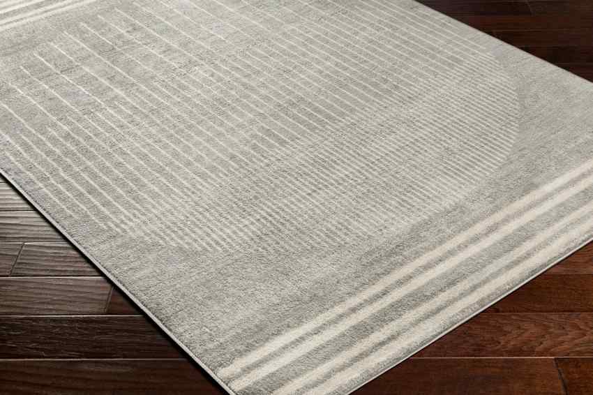 NEERBOSCH Tapis Scandinave I Tapis Moderne, Salon, Chambre I Tapis Contemporain, Poils Courts, Doux, Entretien Facile I Gris, Beige