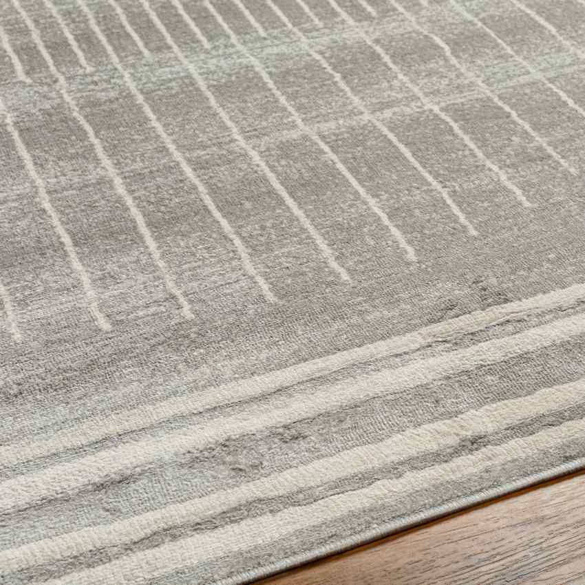 NEERBOSCH Tapis Scandinave I Tapis Moderne, Salon, Chambre I Tapis Contemporain, Poils Courts, Doux, Entretien Facile I Gris, Beige