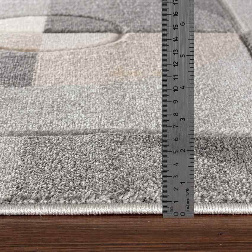 RAYLEEN Tapis Scandinave I Tapis Moderne, Salon, Chambre I Tapis Contemporain, Poils Courts, Doux, Durable, Entretien Facile I Gris